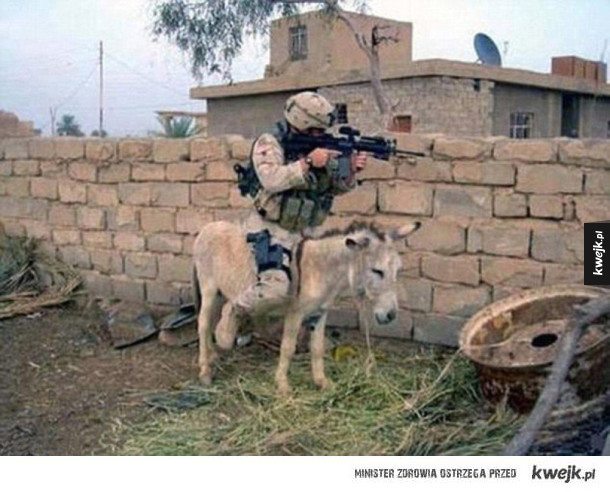 Zdjęcia, które pokazują, że żołnierze też potrafią mieć poczucie humoru