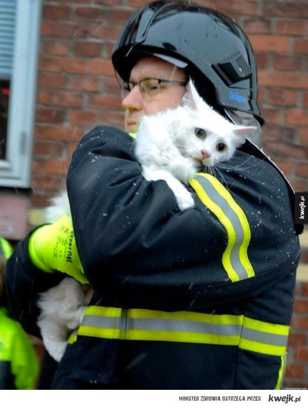 Strażacy ratujący zwierzęta