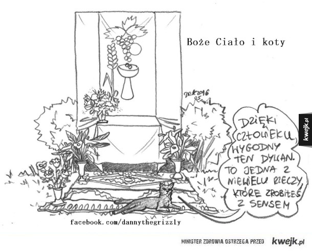 boże ciało i koty