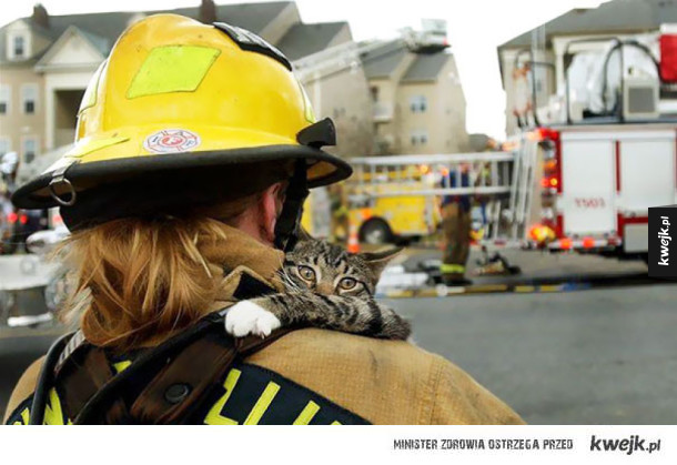 Strażacy ratujący zwierzęta