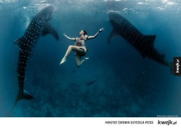 Niesamowite podwodne zdjęcia