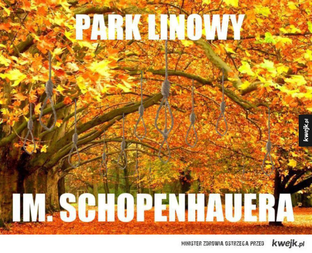 Park linowy