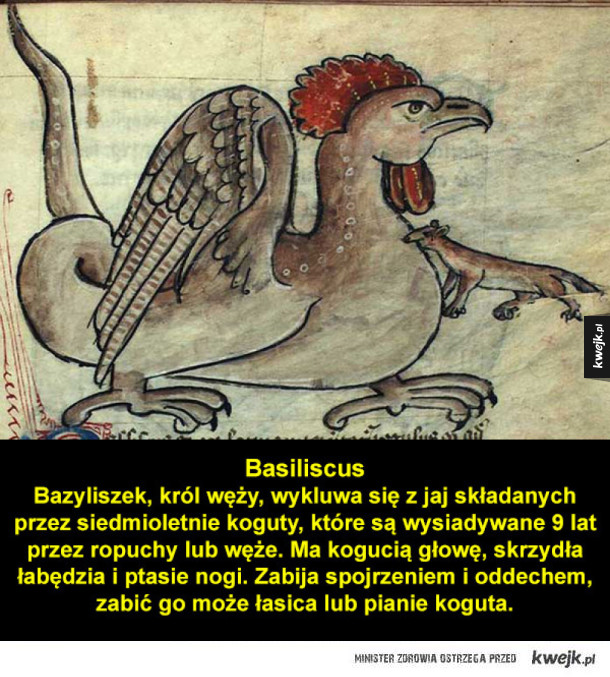 Fantastyczne stworzenia ze średniowiecznych bestiariuszy