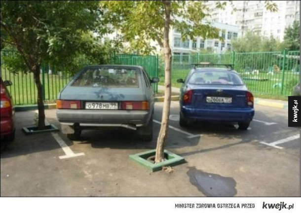 Mistrzowie parkowania kontratakują