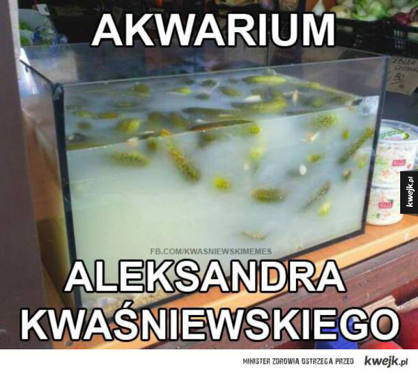 Akwarium