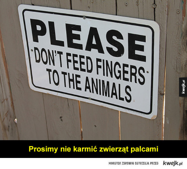 Dziwne znaki w zoo
