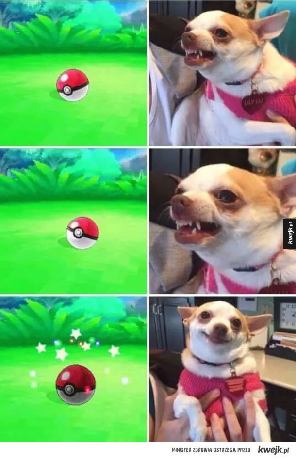 Pokemon! 