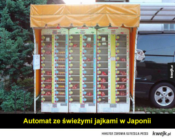Ciekawe automaty z całego świata