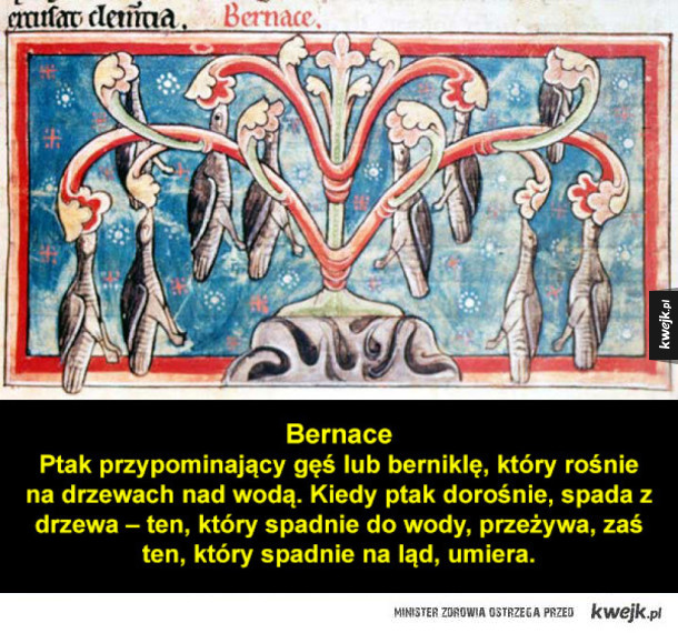 Fantastyczne stworzenia ze średniowiecznych bestiariuszy