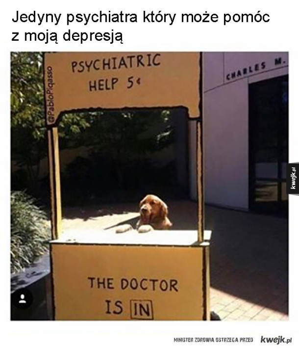 Pies najlepszym psychiatra człowieka