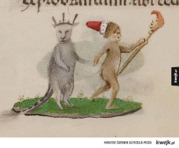 Średniowieczne koty rysowane przez prawdziwych miłośników kotów