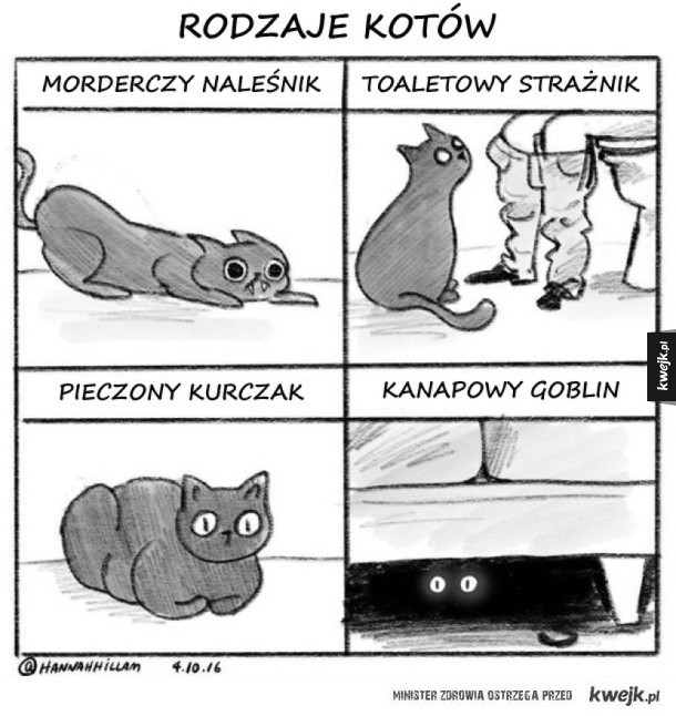 Bardzo prawdziwe komiksy o kotach (i ich właścicielach)