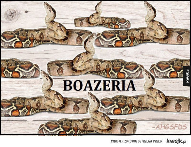 Boazeria