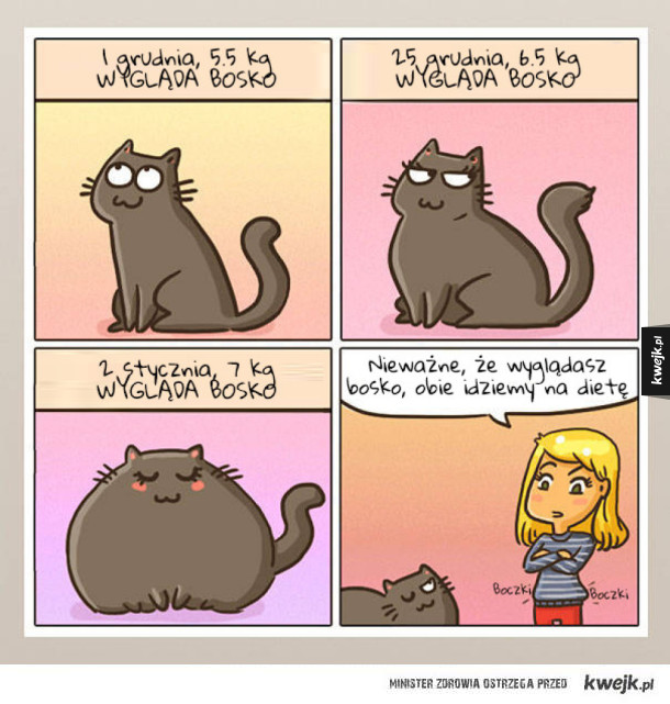 Uroki życia z kotem