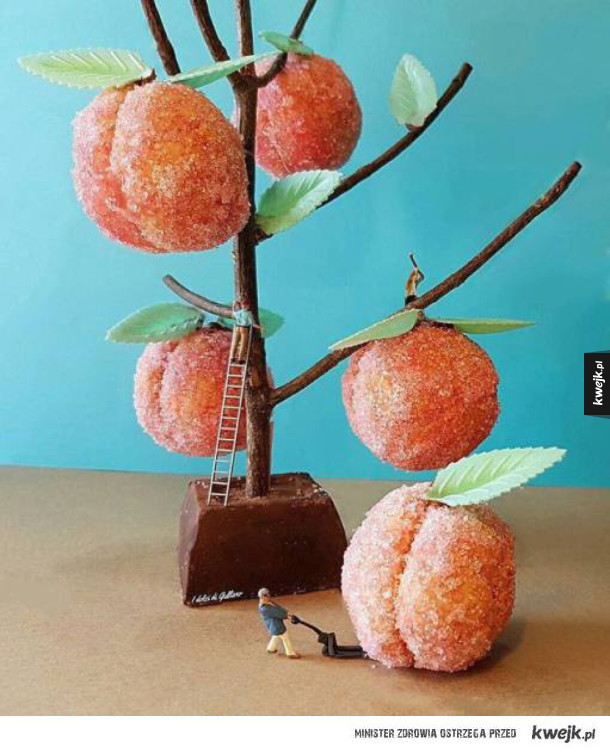 Kreatywne dioramy ze słodkości