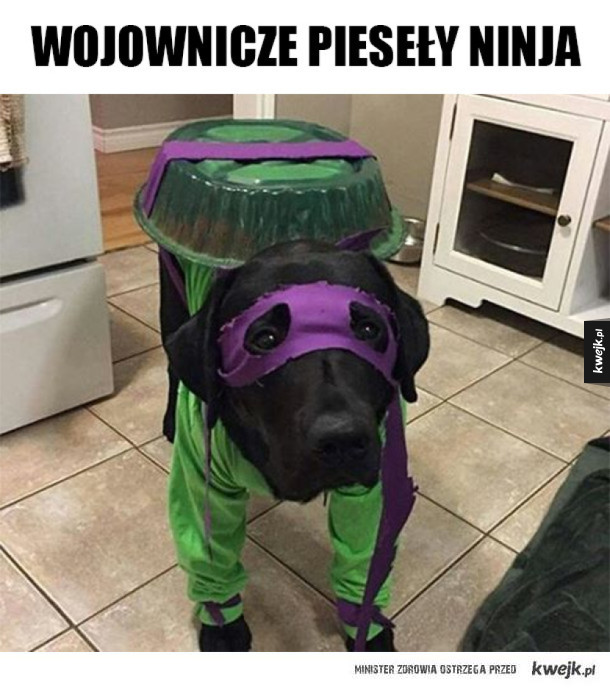 Wojownicze psy ninja