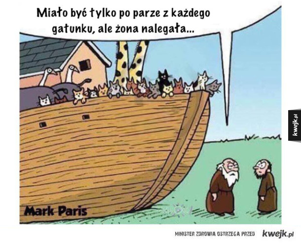 Arka Noego pełna kotków