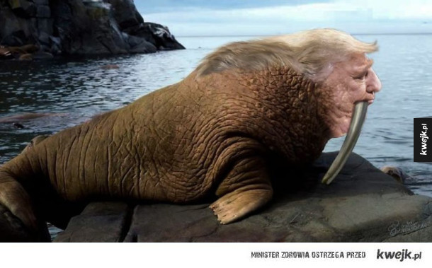 Trump chciał zakazać publikacji tego zdjęcia. Internet mu odpowiedział: