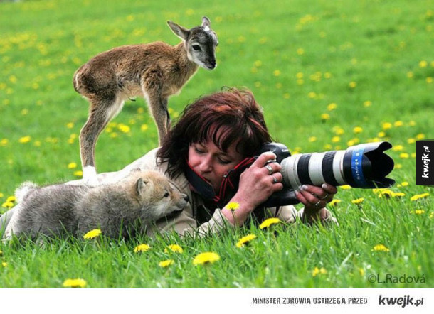 Z kamerą wśród zwierząt