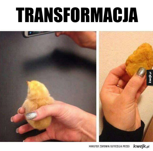 Kurczak transformował