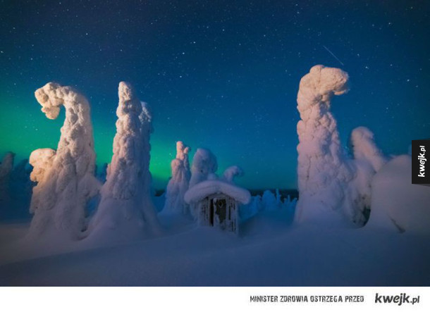 Laponia, najpiękniejsze miejsce, w jakim można spędzić zimę