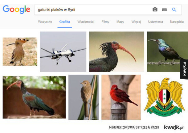 Gatunki ptaków w Syrii