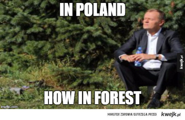 W Polsce jak w lesie