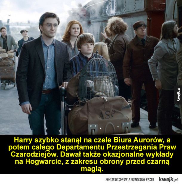 Tego jeszcze mogłeś nie wiedzieć o Harrym Potterze!