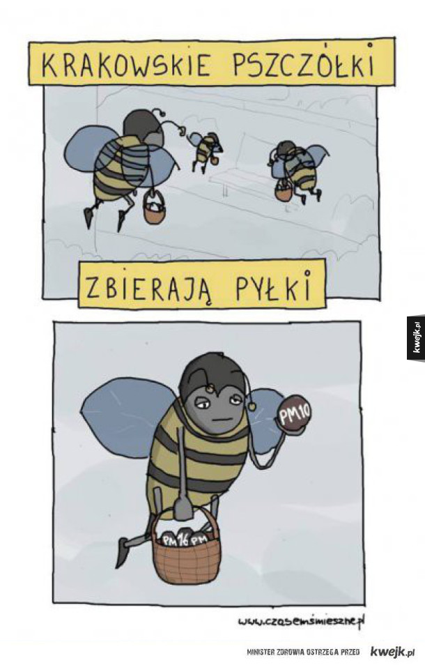 Krakowskie pszczółki