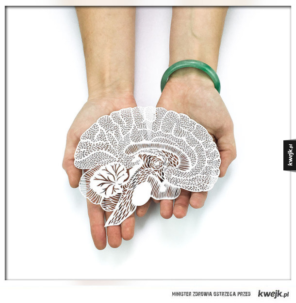 Zdumiewające filigranowe wycinanki organów ludzkich z papieru