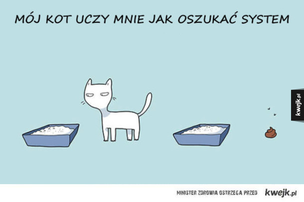 Sympatyczne komiksy o kotach (i jeden o żółwiu)