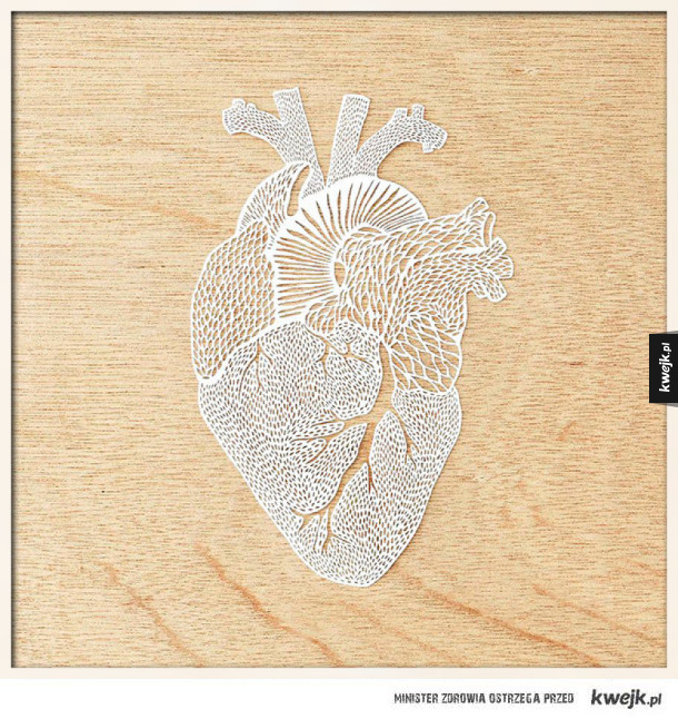 Zdumiewające filigranowe wycinanki organów ludzkich z papieru