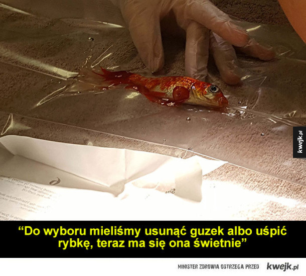 Operacja złotej rybki