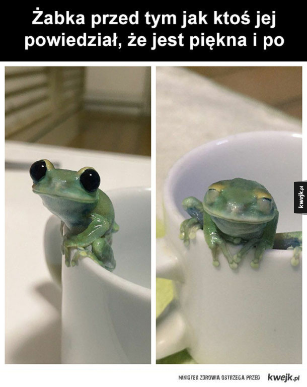 żabka przed i po