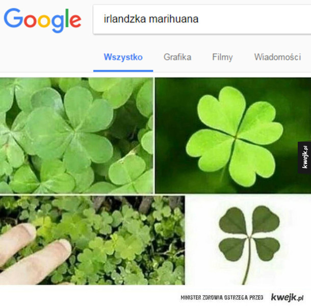 Irlandzka marihuana
