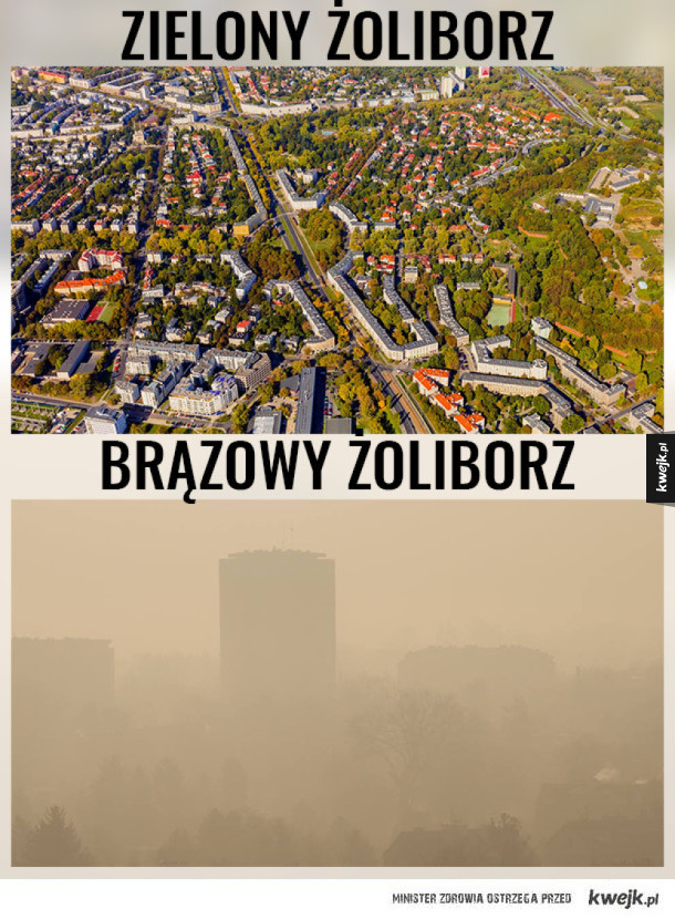 Najlepsze memy po aferze z ustawą #LexSzyszko i wycinką drzew