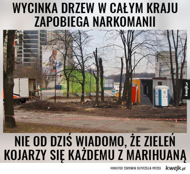 Najlepsze memy po aferze z ustawą #LexSzyszko i wycinką drzew
