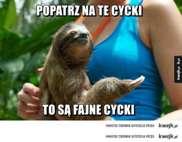 Ahh..te leniwce ;D
