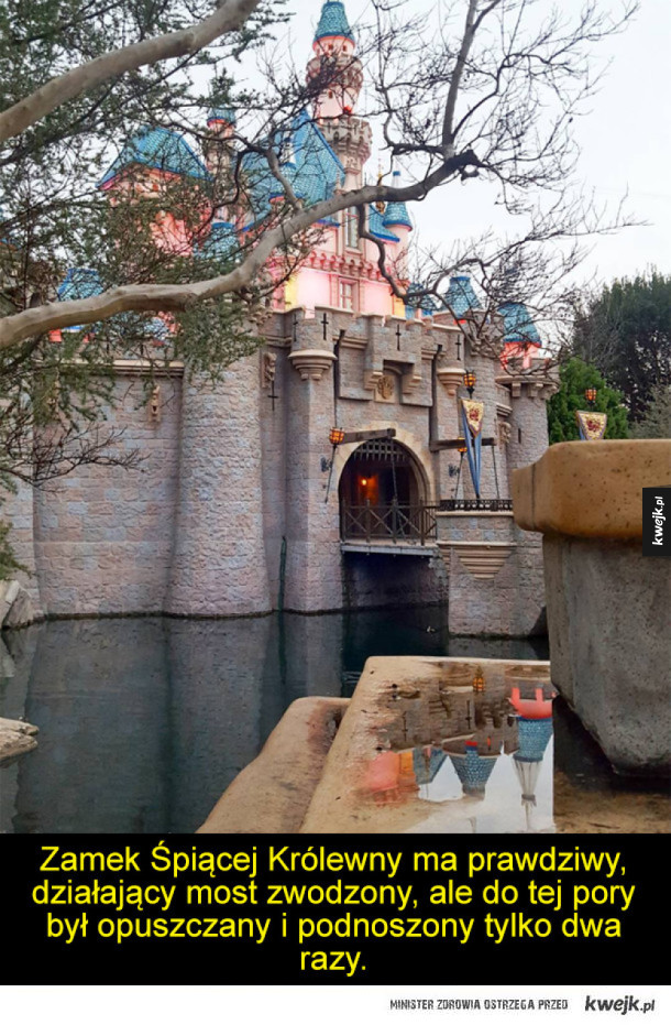 Ciekawostki o Disneylandzie, przez które jeszcze bardziej będziesz chciał tam pojechać