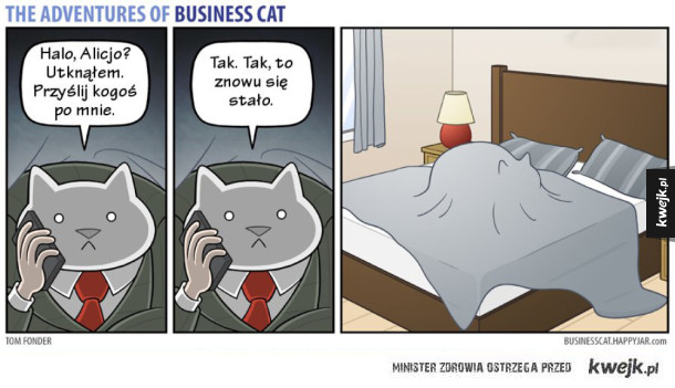 Przygody kota biznesmena