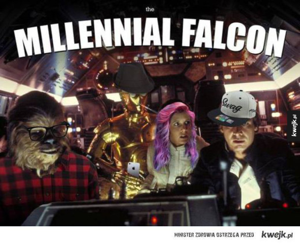Millennial falcon