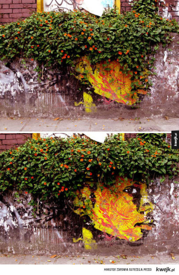 Gdy street art i natura idą ramię w ramię