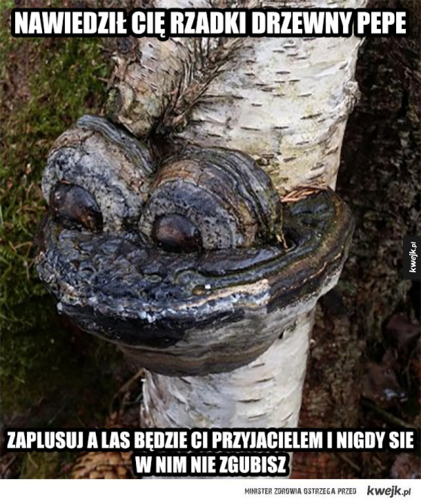 Drzewny Pepe