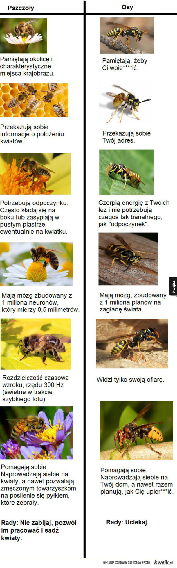 Kochane pszczółki
