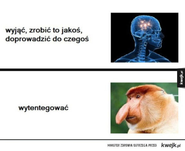 Typowe polskie słownictwo