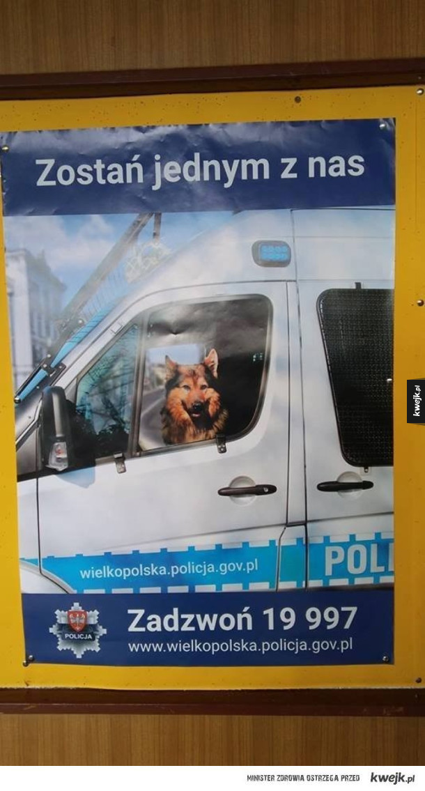 Plakat rekrutacyjny wielkopolskiej policji