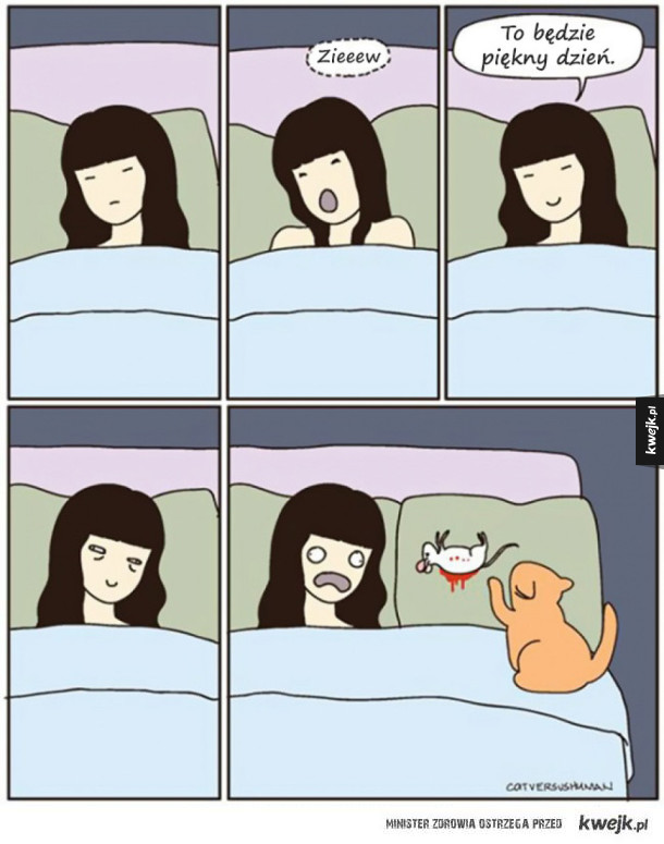 Jak wygląda życie z kotem (w komiksach)