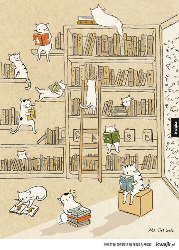 Sekretne życie kotów na ilustracjach Ms Cat