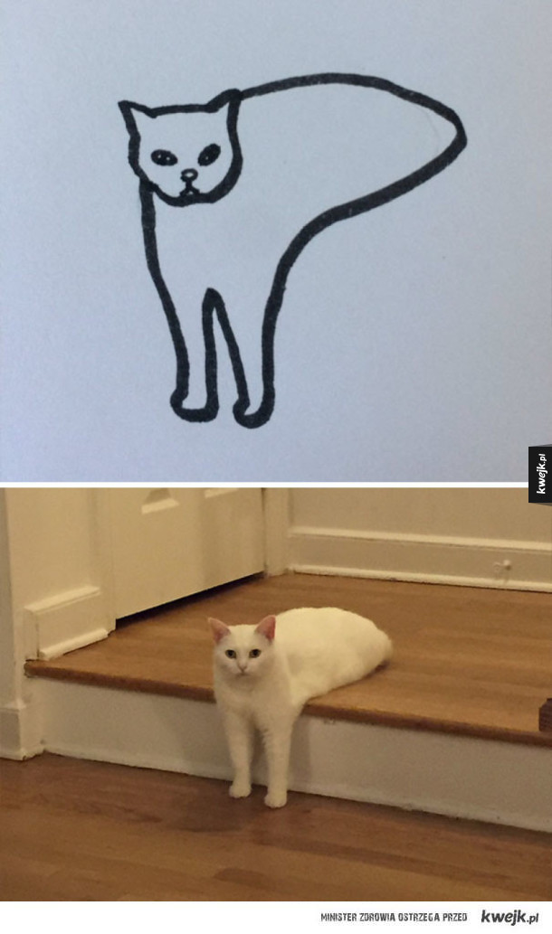 100% realistyczne rysunki kotów