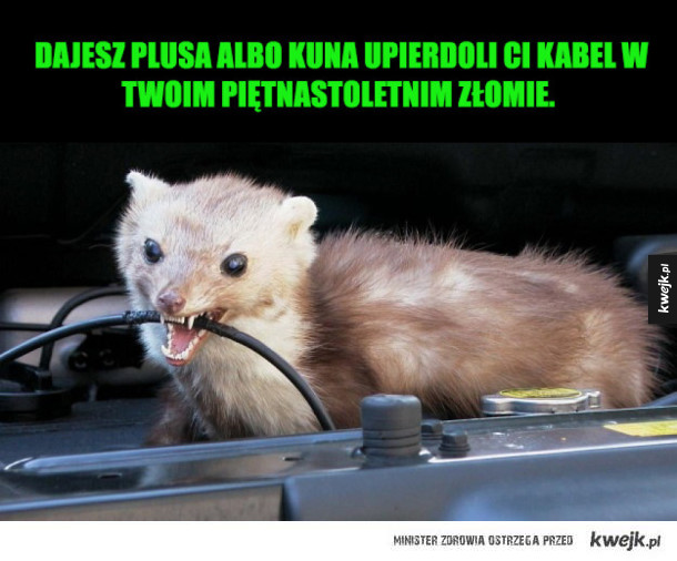 nie ma żartów - Ministerstwo śmiesznych obrazków - KWEJK.pl